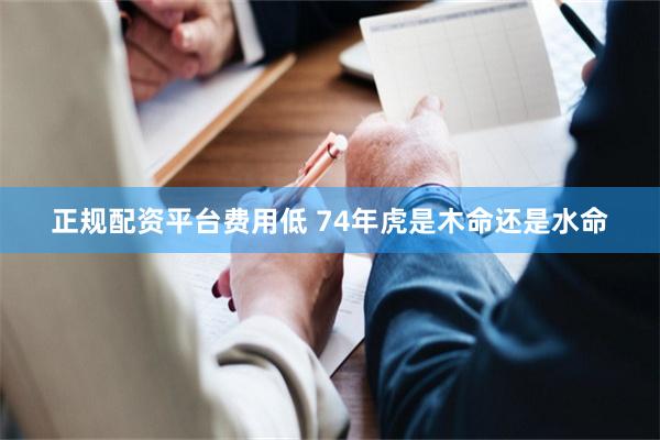 正规配资平台费用低 74年虎是木命还是水命