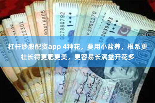 杠杆炒股配资app 4种花，要用小盆养，根系更壮长得更肥更美，更容易长满盆开花多