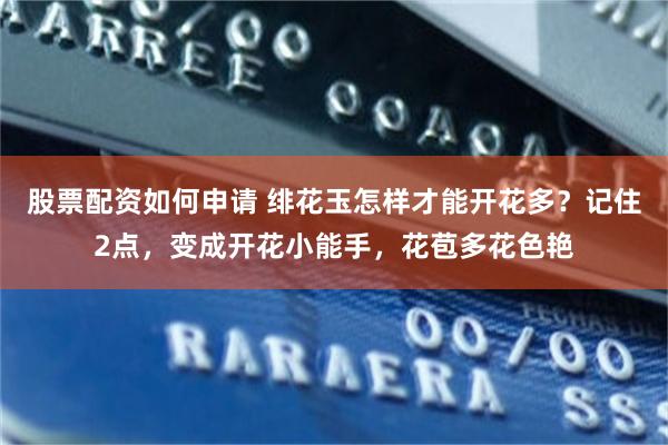 股票配资如何申请 绯花玉怎样才能开花多？记住2点，变成开花小能手，花苞多花色艳