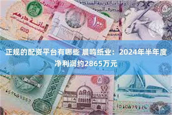 正规的配资平台有哪些 晨鸣纸业：2024年半年度净利润约2865万元