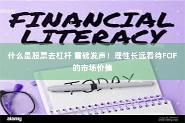 什么是股票去杠杆 重磅发声！理性长远看待FOF的市场价值