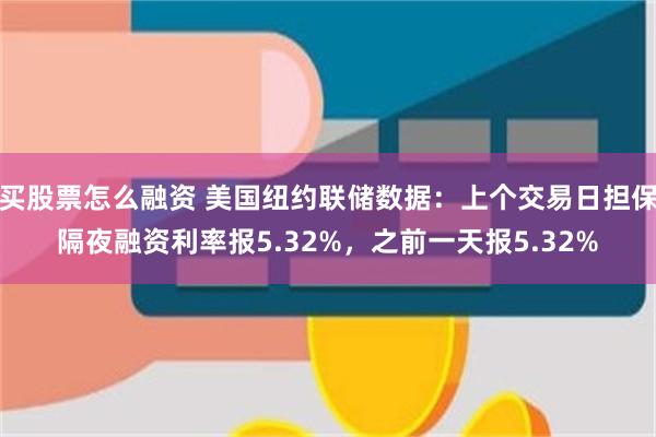 买股票怎么融资 美国纽约联储数据：上个交易日担保隔夜融资利率报5.32%，之前一天报5.32%