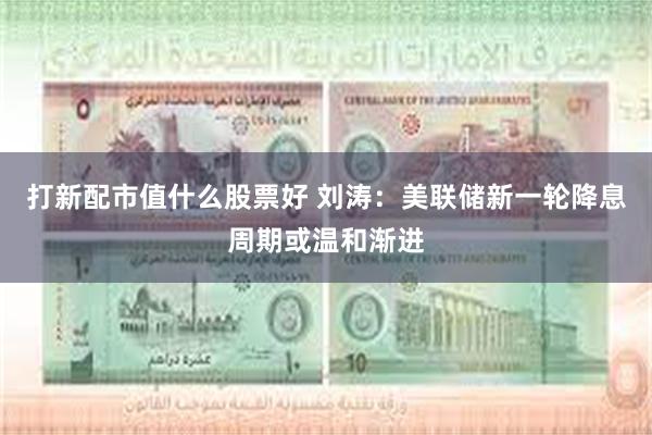 打新配市值什么股票好 刘涛：美联储新一轮降息周期或温和渐进