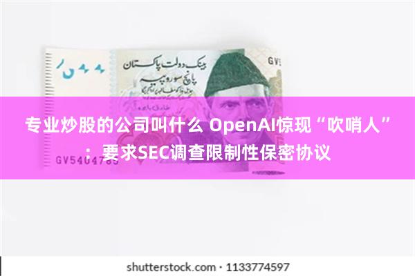 专业炒股的公司叫什么 OpenAI惊现“吹哨人”：要求SEC调查限制性保密协议