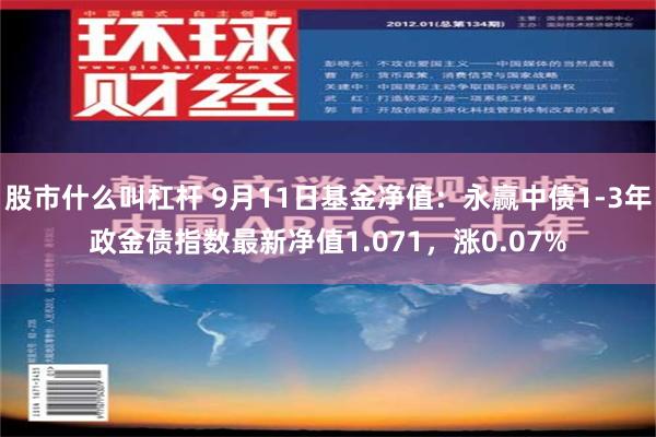 股市什么叫杠杆 9月11日基金净值：永赢中债1-3年政金债指数最新净值1.071，涨0.07%
