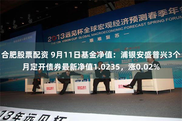 合肥股票配资 9月11日基金净值：浦银安盛普兴3个月定开债券最新净值1.0235，涨0.02%