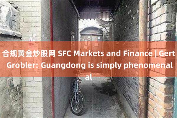 合规黄金炒股网 SFC Markets and Finance | Gert Grobler: Guangdong is simply phenomenal