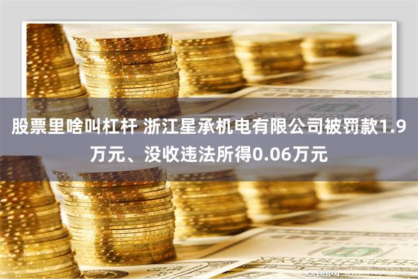 股票里啥叫杠杆 浙江星承机电有限公司被罚款1.9万元、没收违法所得0.06万元