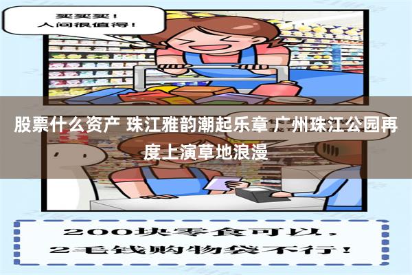 股票什么资产 珠江雅韵潮起乐章 广州珠江公园再度上演草地浪漫