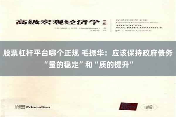 股票杠杆平台哪个正规 毛振华：应该保持政府债务“量的稳定”和“质的提升”