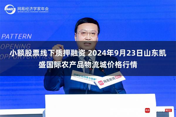 小额股票线下质押融资 2024年9月23日山东凯盛国际农产品物流城价格行情
