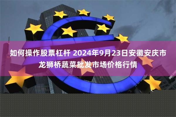 如何操作股票杠杆 2024年9月23日安徽安庆市龙狮桥蔬菜批发市场价格行情