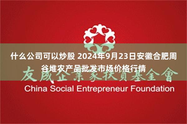 什么公司可以炒股 2024年9月23日安徽合肥周谷堆农产品批发市场价格行情