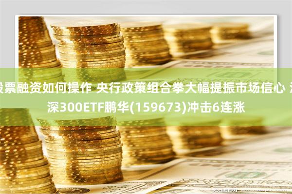 股票融资如何操作 央行政策组合拳大幅提振市场信心 沪深300ETF鹏华(159673)冲击6连涨