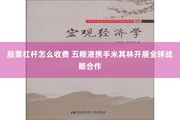 股票杠杆怎么收费 五粮液携手米其林开展全球战略合作