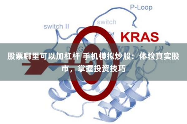 股票哪里可以加杠杆 手机模拟炒股：体验真实股市，掌握投资技巧