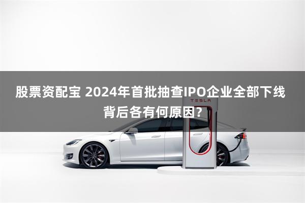 股票资配宝 2024年首批抽查IPO企业全部下线 背后各有何原因？