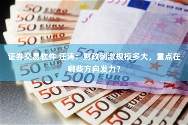 证券交易软件 汪涛：财政刺激规模多大，重点在哪些方向发力？