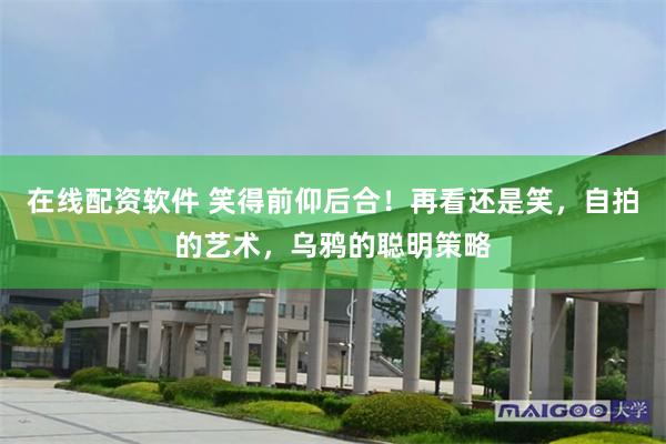 在线配资软件 笑得前仰后合！再看还是笑，自拍的艺术，乌鸦的聪明策略
