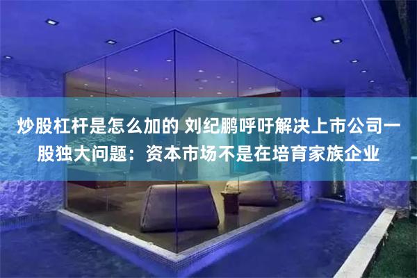 炒股杠杆是怎么加的 刘纪鹏呼吁解决上市公司一股独大问题：资本市场不是在培育家族企业