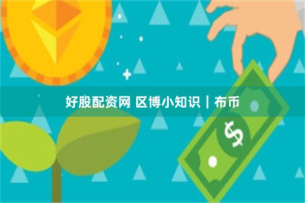 好股配资网 区博小知识｜布币