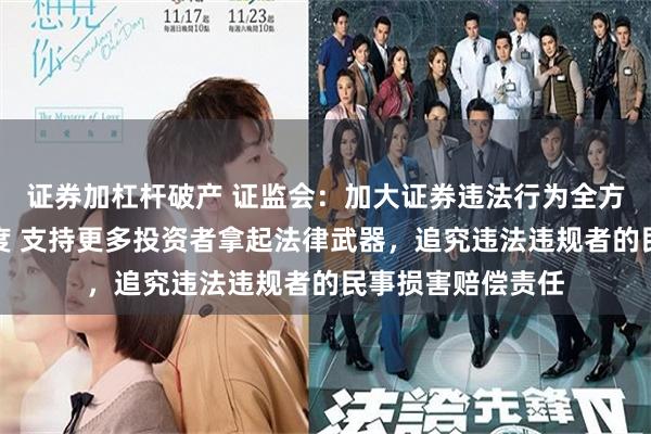 证券加杠杆破产 证监会：加大证券违法行为全方位立体化追责力度 支持更多投资者拿起法律武器，追究违法违规者的民事损害赔偿责任
