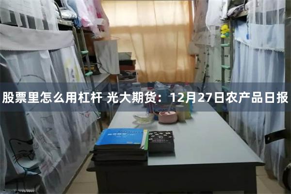 股票里怎么用杠杆 光大期货：12月27日农产品日报
