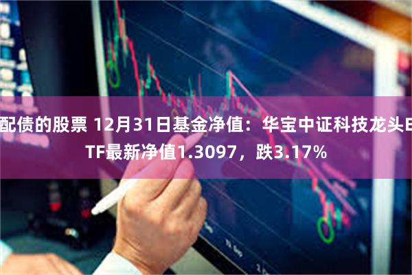 配债的股票 12月31日基金净值：华宝中证科技龙头ETF最新净值1.3097，跌3.17%