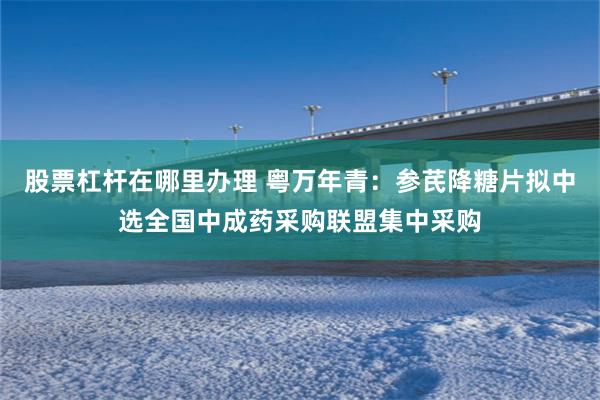 股票杠杆在哪里办理 粤万年青：参芪降糖片拟中选全国中成药采购联盟集中采购
