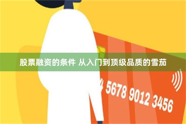股票融资的条件 从入门到顶级品质的雪茄