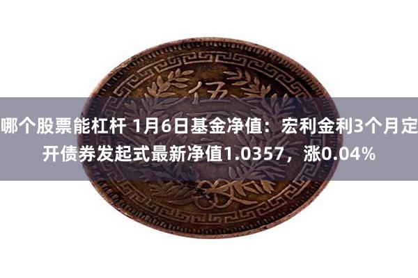 哪个股票能杠杆 1月6日基金净值：宏利金利3个月定开债券发起式最新净值1.0357，涨0.04%