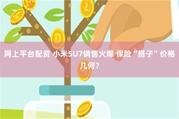 网上平台配资 小米SU7销售火爆 保险“搭子”价格几何？