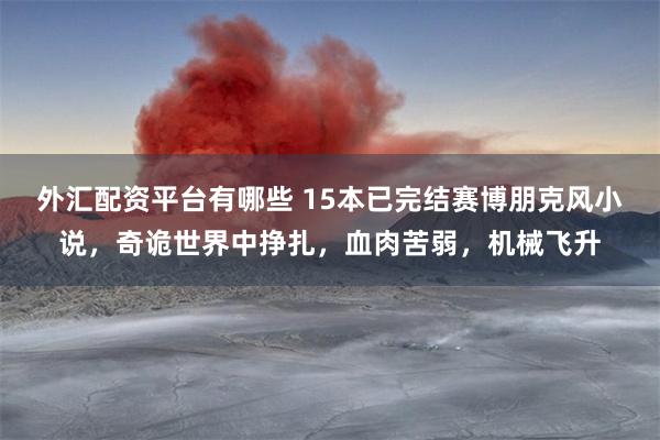 外汇配资平台有哪些 15本已完结赛博朋克风小说，奇诡世界中挣扎，血肉苦弱，机械飞升