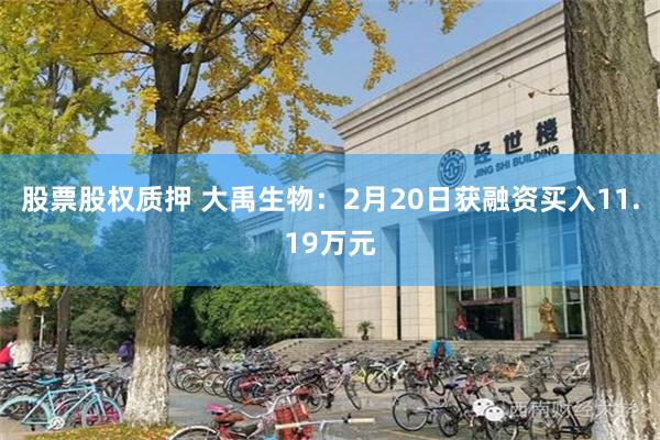 股票股权质押 大禹生物：2月20日获融资买入11.19万元
