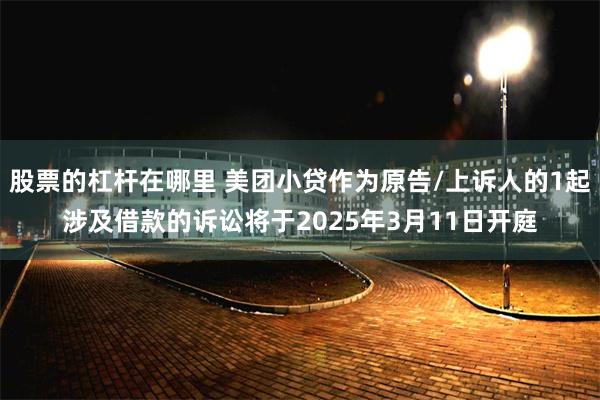 股票的杠杆在哪里 美团小贷作为原告/上诉人的1起涉及借款的诉讼将于2025年3月11日开庭