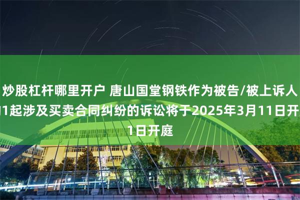 炒股杠杆哪里开户 唐山国堂钢铁作为被告/被上诉人的1起涉及买卖合同纠纷的诉讼将于2025年3月11日开庭