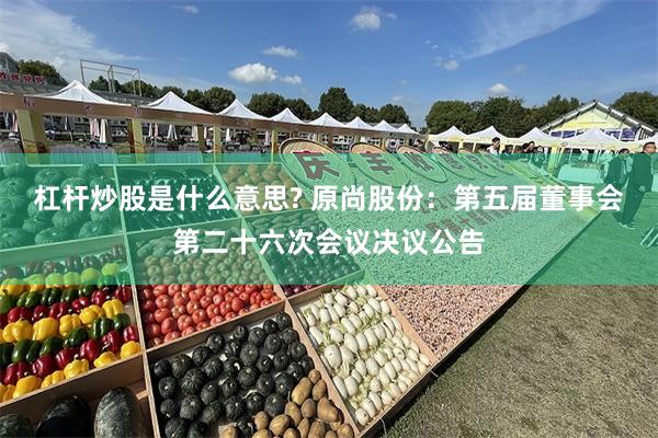 杠杆炒股是什么意思? 原尚股份：第五届董事会第二十六次会议决议公告