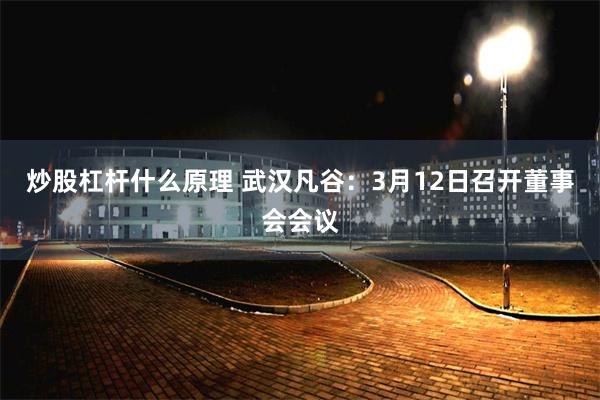 炒股杠杆什么原理 武汉凡谷：3月12日召开董事会会议
