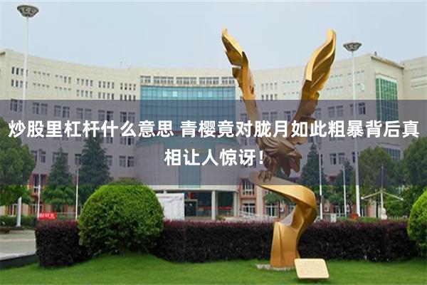 炒股里杠杆什么意思 青樱竟对胧月如此粗暴背后真相让人惊讶！