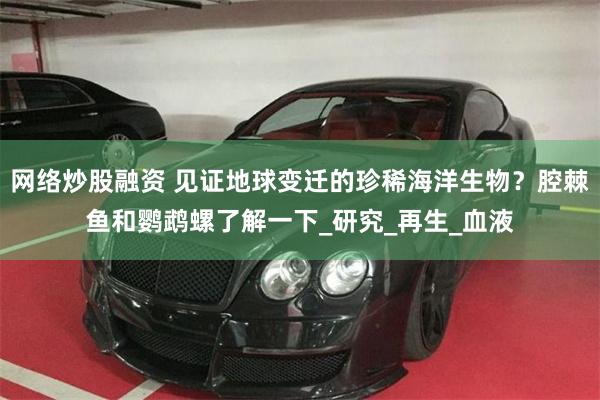 网络炒股融资 见证地球变迁的珍稀海洋生物？腔棘鱼和鹦鹉螺了解一下_研究_再生_血液