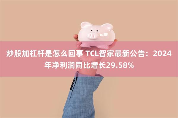 炒股加杠杆是怎么回事 TCL智家最新公告：2024年净利润同比增长29.58%