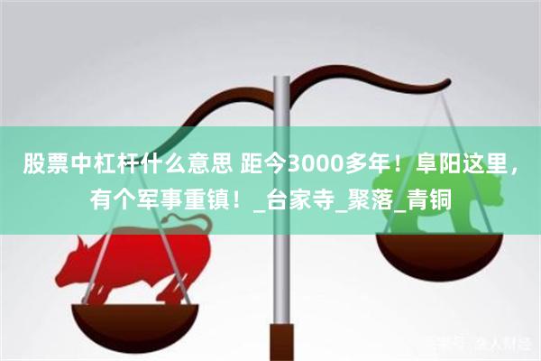 股票中杠杆什么意思 距今3000多年！阜阳这里，有个军事重镇！_台家寺_聚落_青铜