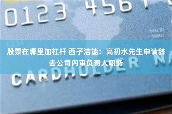 股票在哪里加杠杆 西子洁能：高初水先生申请辞去公司内审负责人职务
