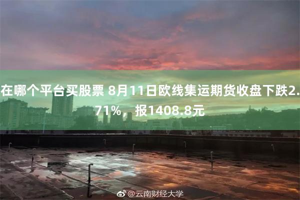 在哪个平台买股票 8月11日欧线集运期货收盘下跌2.71%，报1408.8元