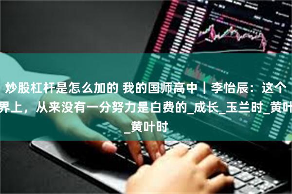 炒股杠杆是怎么加的 我的国师高中｜李怡辰：这个世界上，从来没有一分努力是白费的_成长_玉兰时_黄叶时