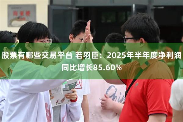 股票有哪些交易平台 若羽臣：2025年半年度净利润同比增长85.60%