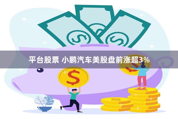 平台股票 小鹏汽车美股盘前涨超3%
