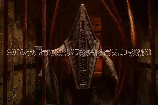 老湿网站